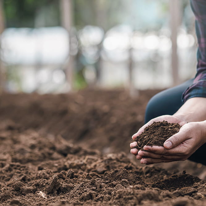 soil-health
